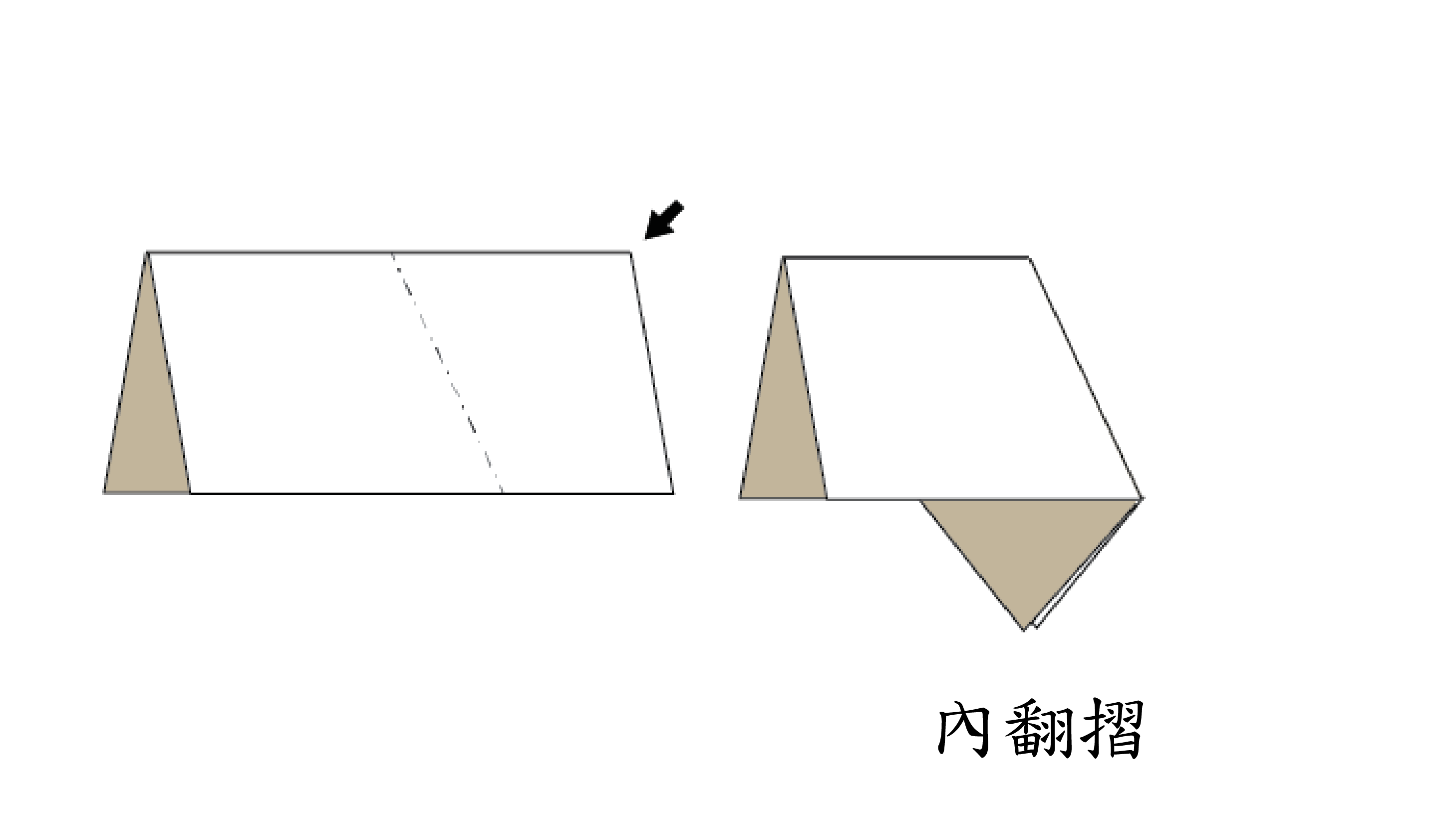 Inside Reverse fold